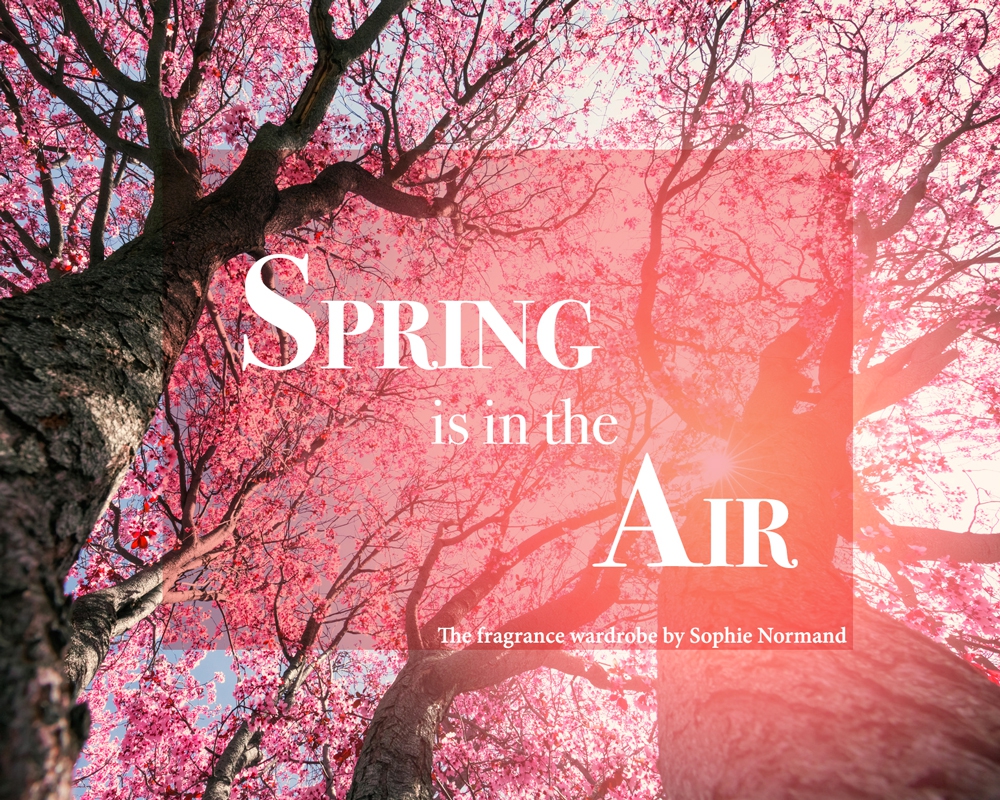 Spring Is In The Air Osmoz
